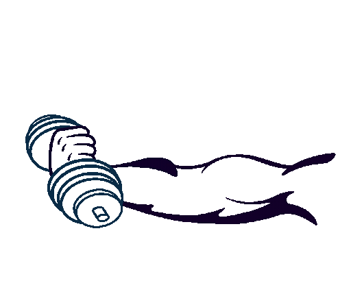 Milestone Gym Training